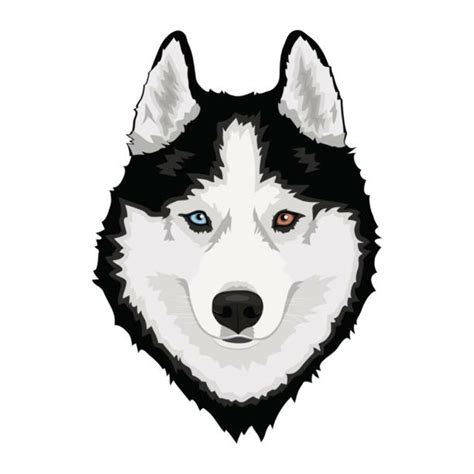 Download High Quality Husky Clipart Cute Transparent Png Images Art