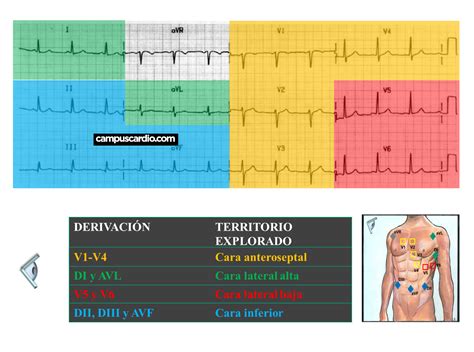 Electrocardiograma Caras Del Corazon