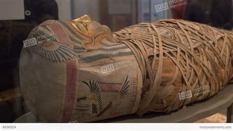 Ancient Egypt Mummy Exposed Stock Video Footage 8936924