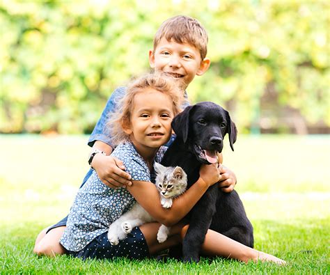 Choosing Your Childs First Pet Hartz
