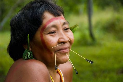 Tribo Yanomami Amazon Tribe Yanomami Tribal People