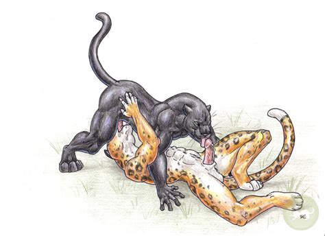 Rule 34 69 Balls Erection Feline Fellatio Furry Gay Jaguar Male No Humans Oral Oral Sex