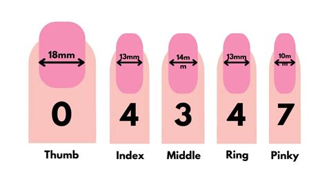 Press On Nail Size Guide Dont Get Stuck With Ill Fitting Nails Find