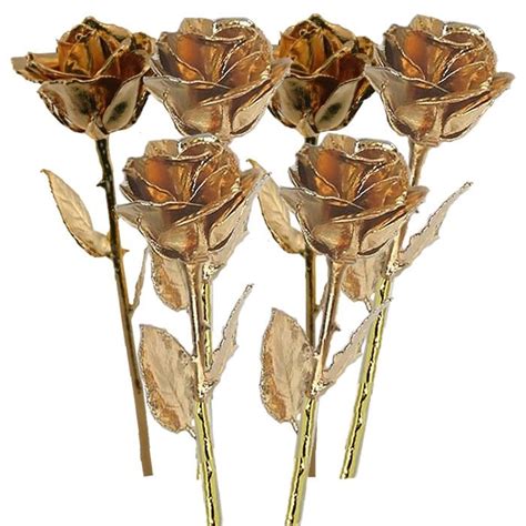 6 High Detail Gold Roses By 6