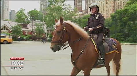 Inside The Nypd Mounted Unit