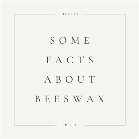 Learn The Facts About Beeswax Eco Friendly Non Toxic And Sustainab