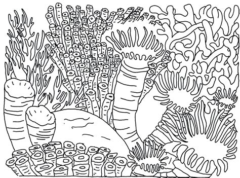 You can use our amazing online tool to color and edit the following coral reef coloring pages. Easy Drawing Of Coral Reef at GetDrawings | Free download