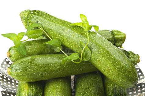 Fresh Zucchini Stock Photo Image Of Agriculture Vapor 32009136