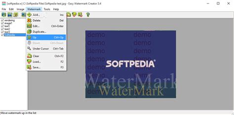 Download Easy Watermark Creator