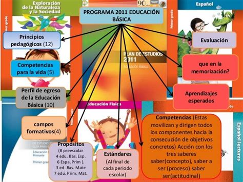 Estructura De Planes Y Programa 2011 Edu Bas