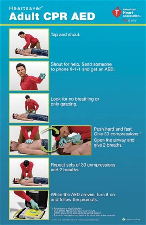 Check spelling or type a new query. Heartsaver Adult CPR AED Poster 2015 pk of 3 | LifeSavers, Inc.
