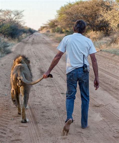 A Beautiful Story About A Man And His Pet Lion