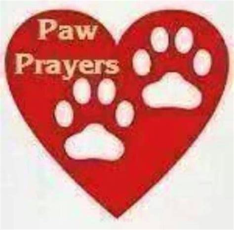 Bit.ly/ytdailyeffectiveprayer prayer for my dog | prayer for dogs healing, well being (cancer, sickness, etc) be sure to. Pet prayers | Dog sympathy, Dog sympathy card, Sick dog