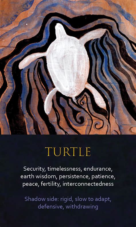 Crowd Sale Spirit Animal Awareness Oracle Cards Turtle Spirit Animal