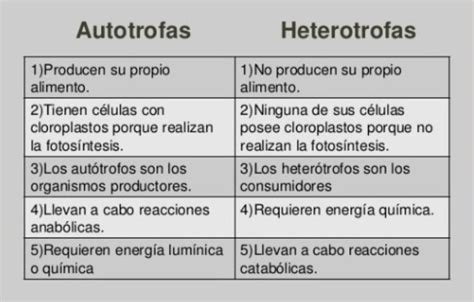 Elabora Un Cuadro Comparativo Entre Autrofos Y Heterotrofos Brainly Lat