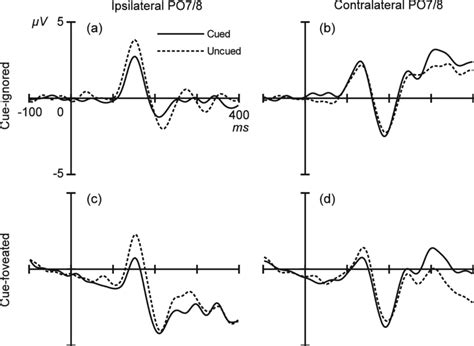 Check 'ipsilateral' translations into russian. Target-elicited ERP waveforms at ipsilateral and ...