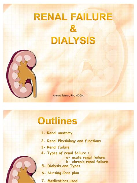 Kidney Dialysis Kidney Hemodialysis
