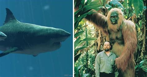 8 Incredible Photos Of The Worlds Largest Animals