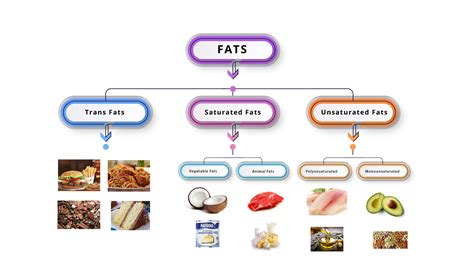 Types Of Dietary Fats