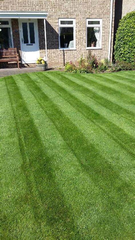 Expert Lawn Care In Teesside Trugreen Professional Lawncare