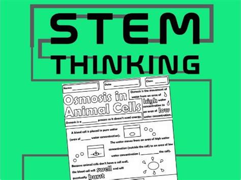 Maybe you would like to learn more about one of these? Osmosis in Animal Cells Biology Doodle Notes | Teaching ...