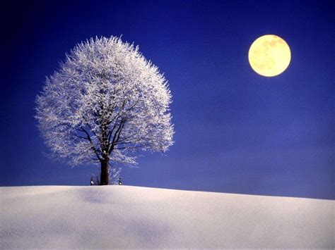 Full Moon Winter Night Wallpapers Wallpaper Cave