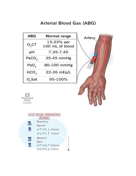 Arterial Blood Gases Abgs Nur Studocu