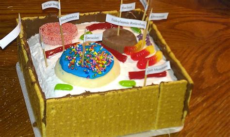 Edible Model Of A Plant Cell Biological Science Picture Directory