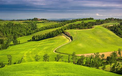 Tuscany Italy Field Wallpaper 2560x1600 309997 Wallpaperup