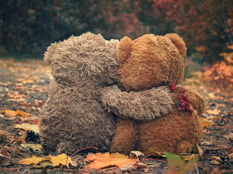 87645462 Two Teddy Bear Hugging Each Other And Looking At The Autumn