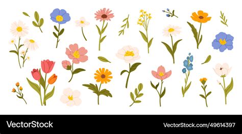 Spring Flowers Cartoon Wildflowers Chamomile Vector Image