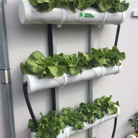 Hydroponic Garden System Diy Pin On Diy And Crafts Best Hydroponic