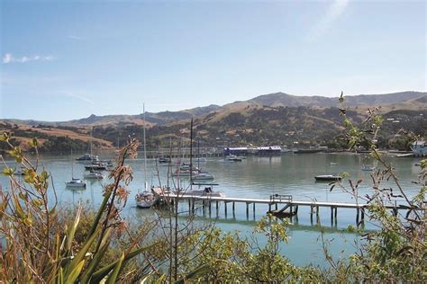 2023 Akaroa Shore Excursion Banks Peninsula Christchurch City Tour