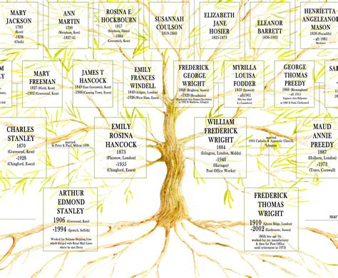 5-6 Generations Fixed Layout Ancestry Chart With Space for - Etsy Australia