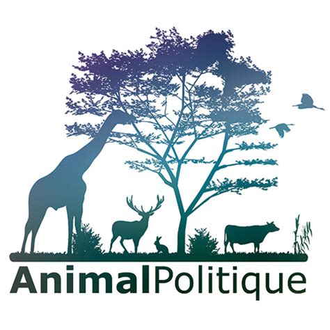 Manifeste Animalpolitique 30 Propositions Pour Mettre La Condition