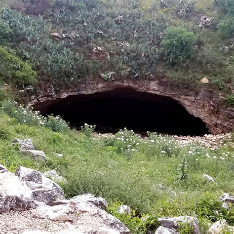 Bracken Bat Cave In San Antonio Tx