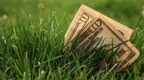 How much does lawn care cost per hour. How Much Does It Cost to Fertilize Your Yard? | Angie's List