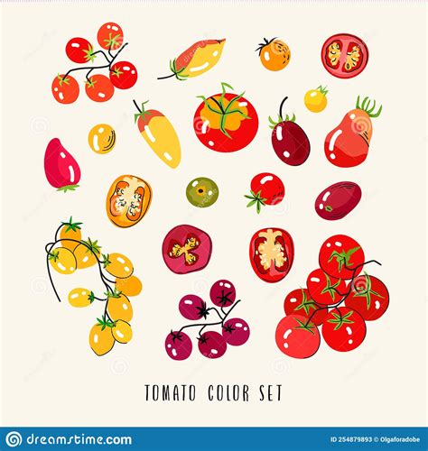 Conjunto Vectorial Colorido De Tomate Aislado En Fondo Blanco
