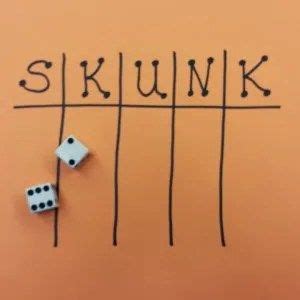 SKUNK–A Fun Game of Chance and Probability | Fun card games, Card games