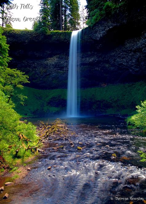 Visit Silver Falls State Park In Oregon Expedia