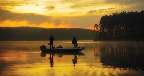 Mdwfp 2019 Fishing Forecast For Northeast Mississippi