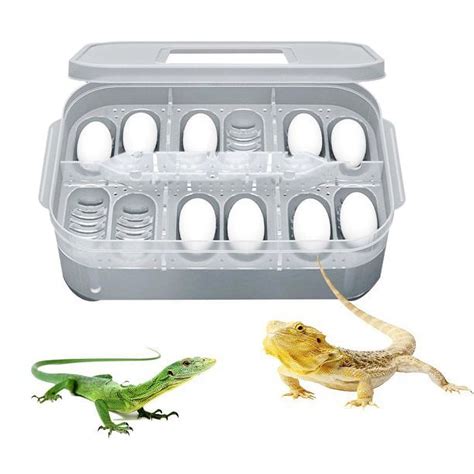 Limei Reptile Lizard Gecko Snake Grids Egg Hatchery Breeding Box Case Incubator Walmart Com
