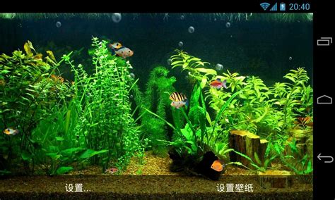 Free Download 3d Live Fish Wallpaper Fish Tank Live Wallpaper