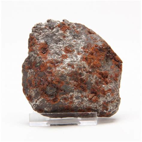 Campo Del Cielo Meteorite Fragment Lot 244 The Frank Menser Fossil