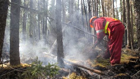 Small Forest Fire In Northwestern Ontario Lands Minnesota Man 4k Fine