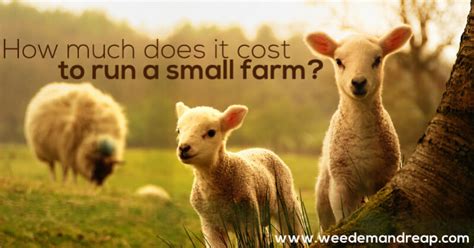 Along with this you need to keep in mind few points as: How much does it cost to run a small farm?