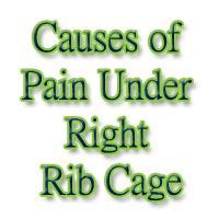 Meaning of rib cage in english. Causes of Pain Under Right Rib Cage - Abchomeremedies