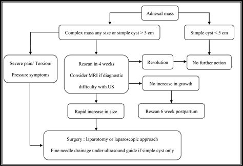 How To Management Of Adnexal Mass In Pregnancy Department Of
