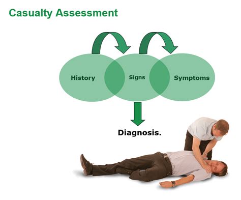 🏷️ Primary And Secondary Assessment Primary Assessment And Secondary