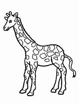Giraffe Coloring Cute Printable sketch template